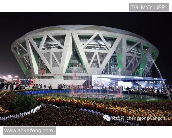 西安网球队的精神探寻与竞技魅力全景揭秘